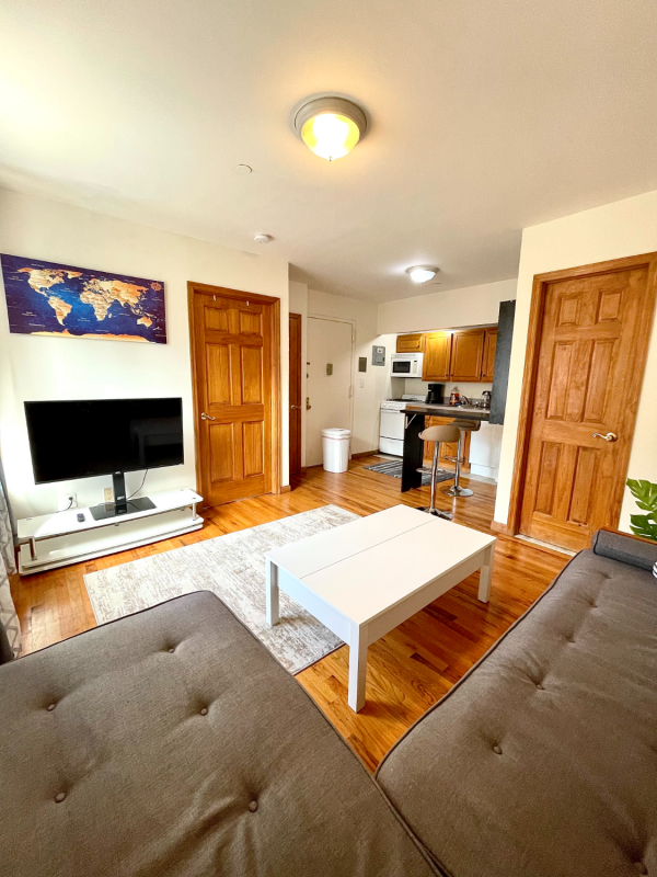 Entire Apartment Near Times Square